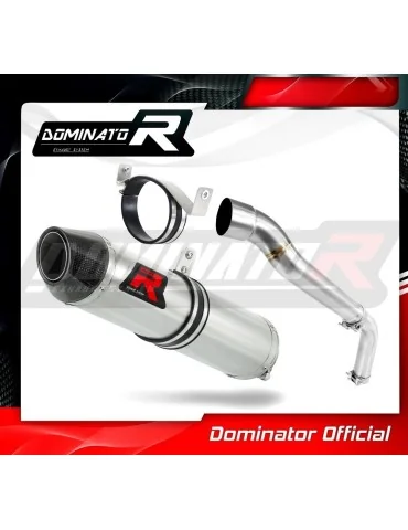 Silencieux slip-on Dominator HP2 pour Honda CBR 600RR (2007-2012)