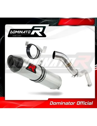 Silencieux slip-on Dominator HP2 pour Honda CBR 600RR (2005-2006)
