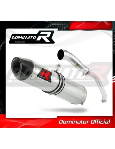Silencieux slip-on Dominator HP2 pour Honda CBR 600RR (2003-2004)