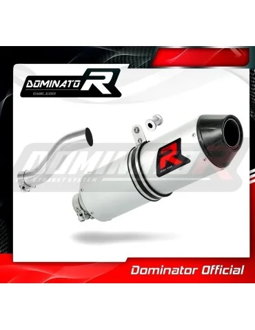 Silencieux slip-on Dominator MX2 pour Can-Am Renegade 800
