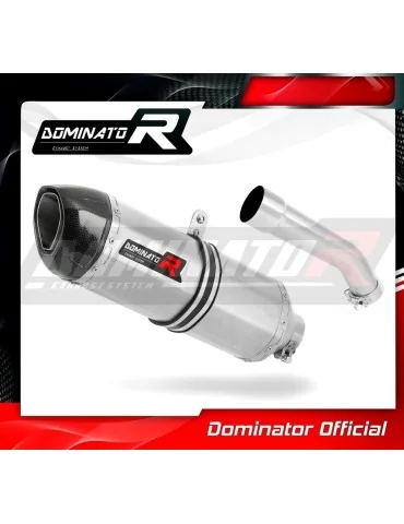 Silencieux slip-on Dominator HP1 pour Kawasaki ZX10R (2004-2005)