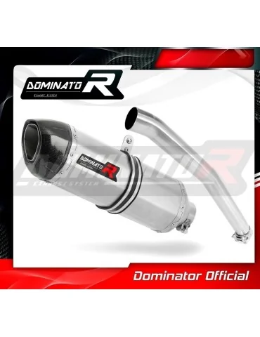 Silencieux slip-on Dominator HP1 pour Yamaha YZF R6 (1999-2002)