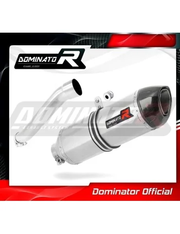 Silencieux slip-on Dominator HP1 pour Yamaha XT 660 Z Tenere (2008-2016)