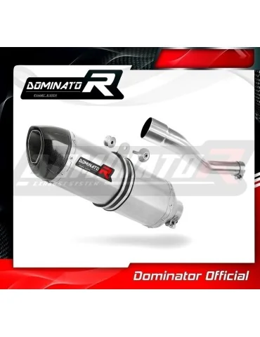 Silencieux slip-on Dominator HP1 pour Yamaha TDM 850 côté droit (1996-2001)