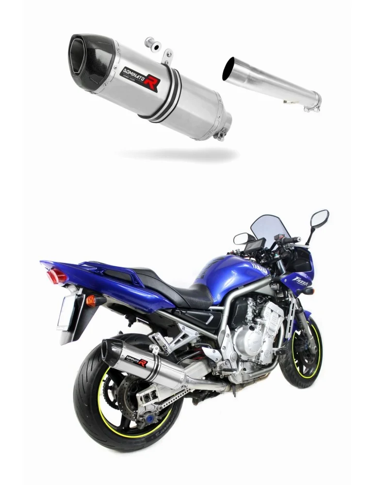 Silencieux slip-on Dominator HP1 pour Yamaha FZS Fazer 1000 (2001-2005)