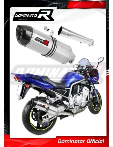 Silencieux slip-on Dominator HP1 pour Yamaha FZS Fazer 1000 (2001-2005)