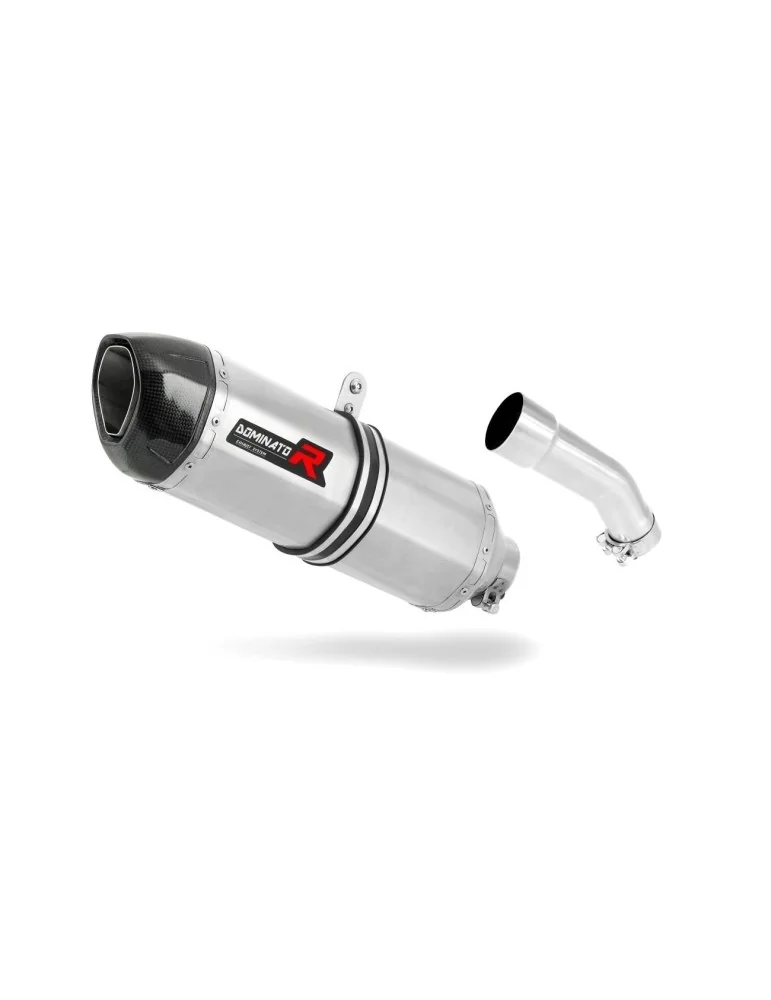 Silencieux slip-on Dominator HP1 pour Yamaha FZR 600 (1988-1993)