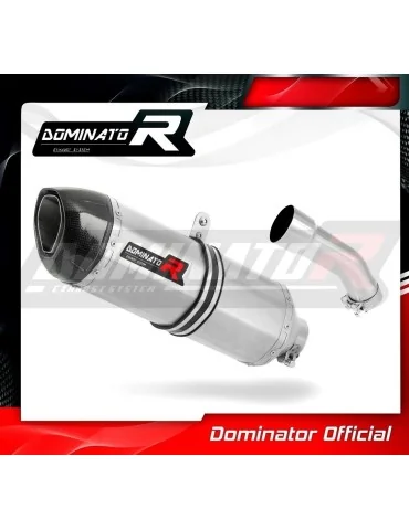 Silencieux slip-on Dominator HP1 pour Yamaha FZR 600 (1988-1993)