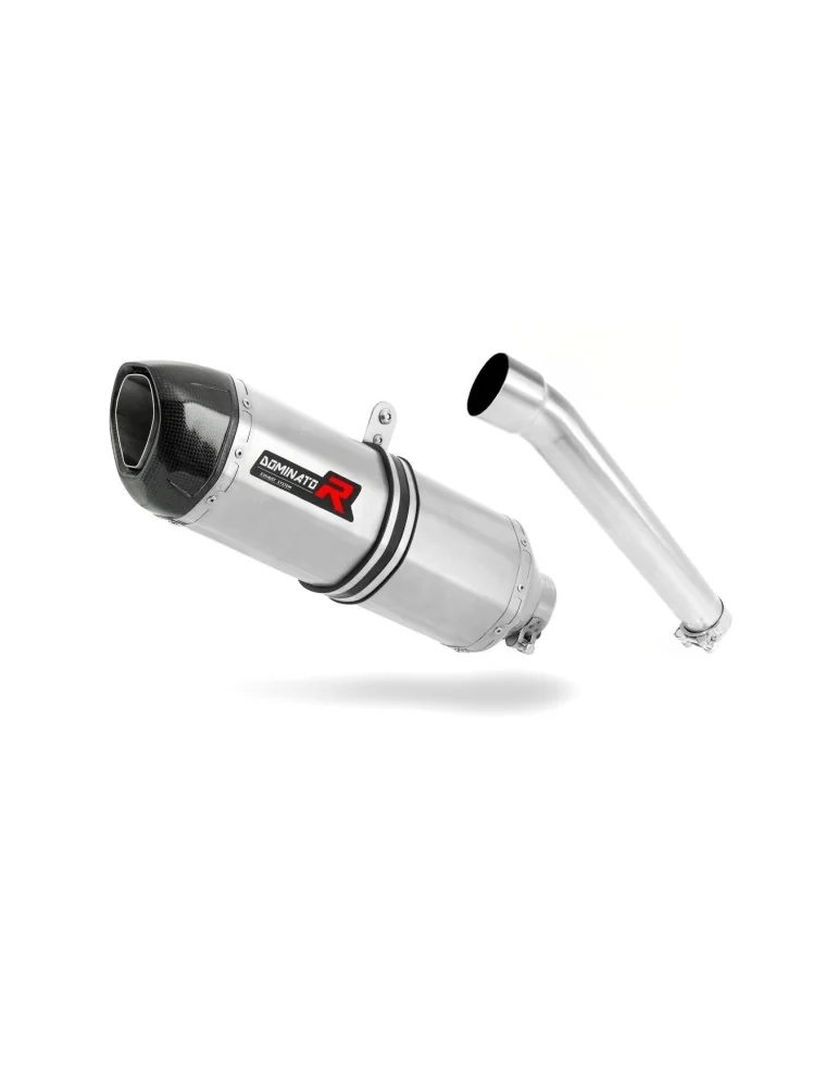 Silencieux slip-on Dominator HP1 pour Yamaha FZR 1000 (1991-1994)