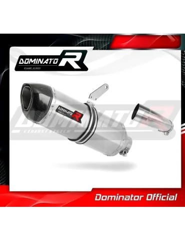 Silencieux slip-on Dominator HP1 pour Yamaha FZ8 Fazer (2010-2016)