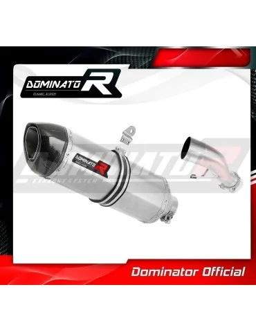 Silencieux slip-on Dominator HP1 pour Yamaha FZ1 Fazer 1000 (2006-2015)