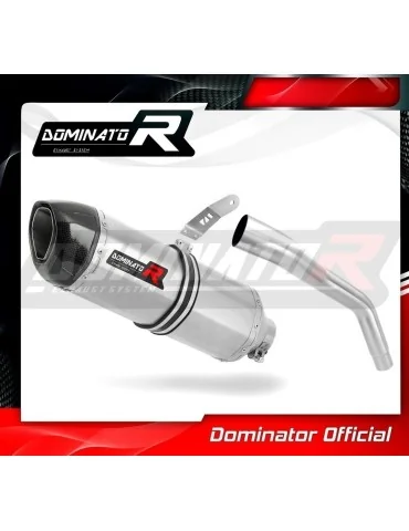 Silencieux slip-on Dominator HP1 pour Triumph Tiger 800 XC XR (2015-2017)
