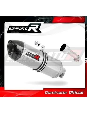Silencieux slip-on Dominator HP1 pour SYM Citycom 300i (2007-2014)