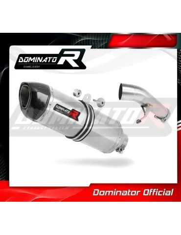Silencieux slip-on Dominator HP1 pour Suzuki GSXF 650 (2007-2016)