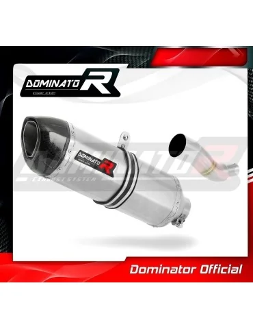 Silencieux slip-on Dominator HP1 pour Piaggio X9 125 (2000-2009)