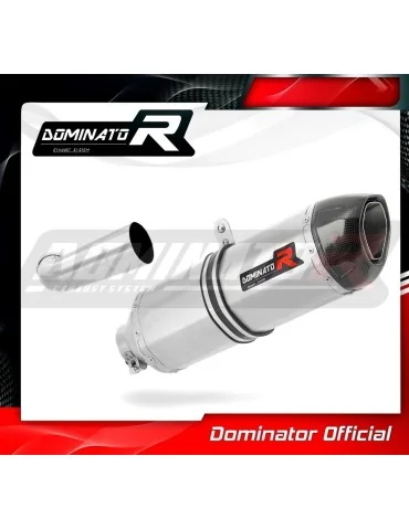 Silencieux slip-on Dominator HP1 pour Moto Guzzi 1200 Sport 4V