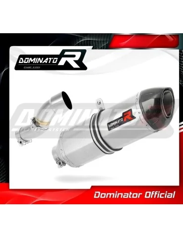 Silencieux slip-on Dominator HP1 pour KTM 690 SMC R (2012-2017)