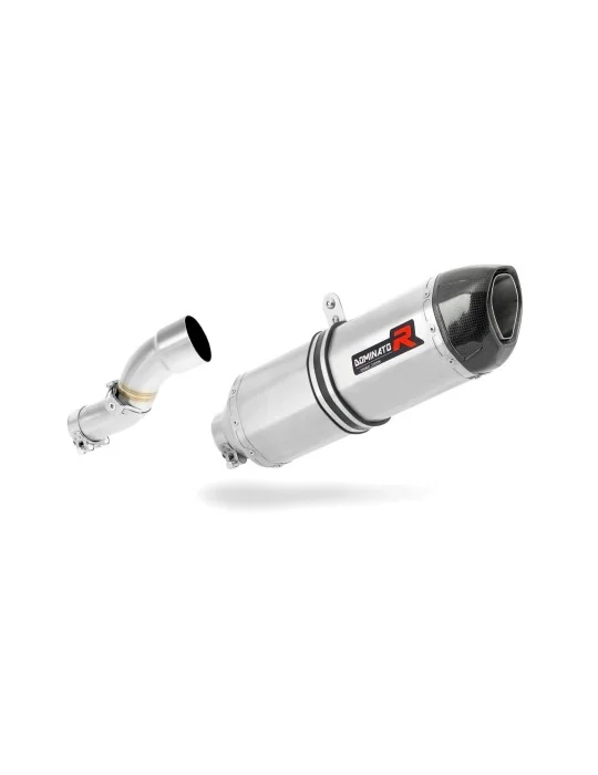Silencieux slip-on Dominator HP1 pour KTM 690 SMC (2008-2011)