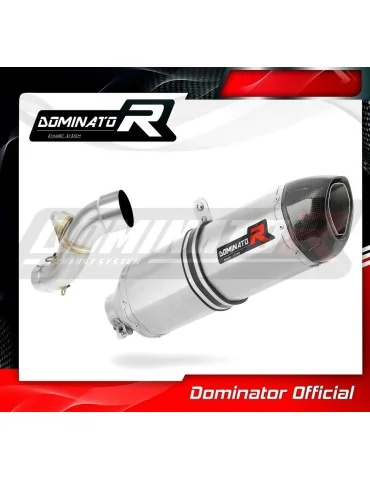 Silencieux slip-on Dominator HP1 pour KTM LC4 625 SMC (2004)