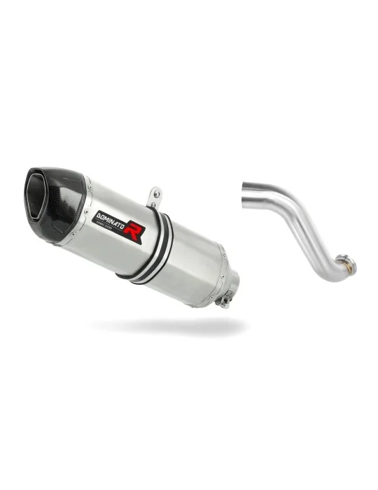 Silencieux slip-on Dominator HP1 pour KTM 690 Duke (2012-2018)