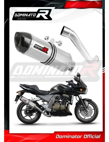 Silencieux slip-on Dominator HP1 pour Kawasaki Z750 (2004-2006)