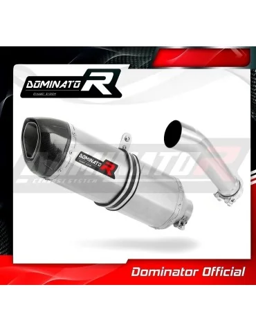 Silencieux slip-on Dominator HP1 pour Kawasaki ER 5 500 (1996-2006)