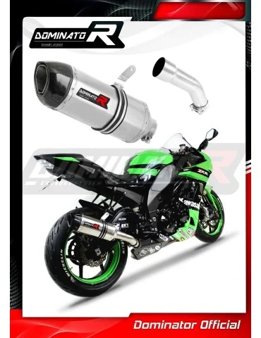 Silencieux slip-on Dominator HP1 pour Kawasaki ZX10R (2008-2010)