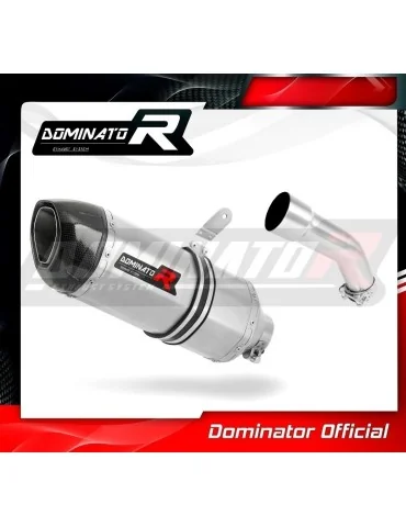 Silencieux slip-on Dominator HP1 pour Kawasaki ZX10R (2008-2010)