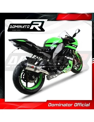 Silencieux slip-on Dominator HP1 pour Kawasaki ZX10R (2008-2010)