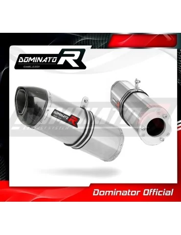 Silencieux bolt-on Dominator HP1 pour Kawasaki ZX9R (1998-2002)