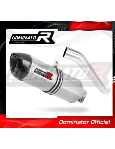 Silencieux slip-on Dominator HP1 pour Kawasaki ZX6R 636 (2003-2004)