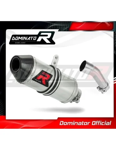 Silencieux slip-on Dominator HP3 pour Kawasaki ZX250R (2008-2012)