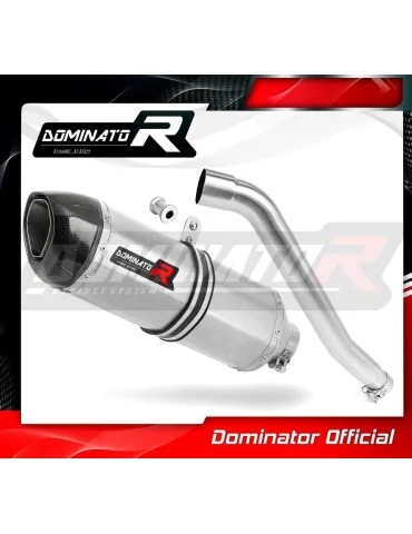Silencieux slip-on Dominator HP1 pour Honda XL 600 V Transalp (1987-2000)