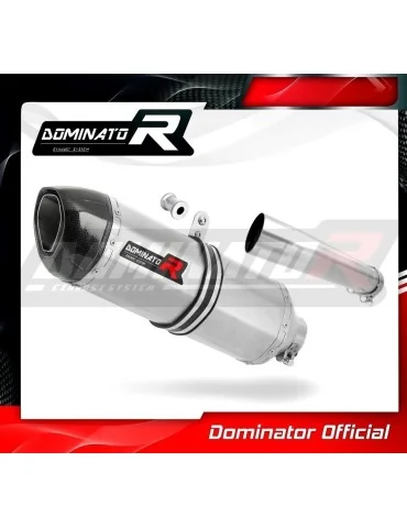 Silencieux slip-on Dominator HP1 pour Honda CBF 1000 (2010-2013)