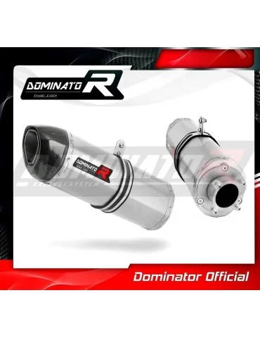 Silencieux bolt-on Dominator HP1 pour Honda CBF 250 (2004-2006)