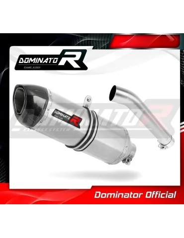 Silencieux slip-on Dominator HP1 pour Honda CB 1300 (2003-2012)