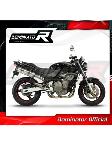 Silencieux slip-on Dominator HP1 pour Honda CB 600F Hornet (1998-2002)