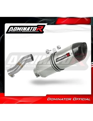 Silencieux slip-on Dominator HP1 pour BMW R1150R