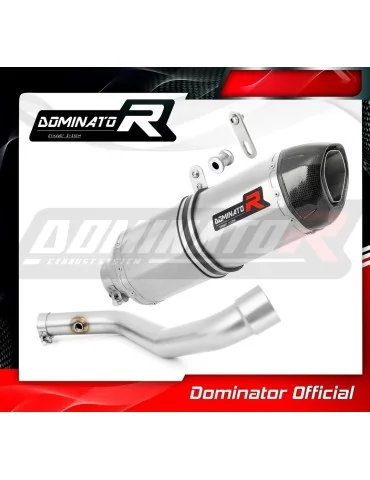 Silencieux slip-on Dominator HP1 pour BMW R1100R