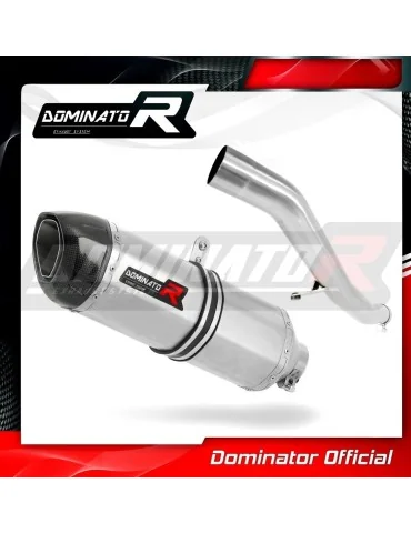 Silencieux slip-on Dominator HP1 pour Kawasaki GTR 1400 (2007-2009)