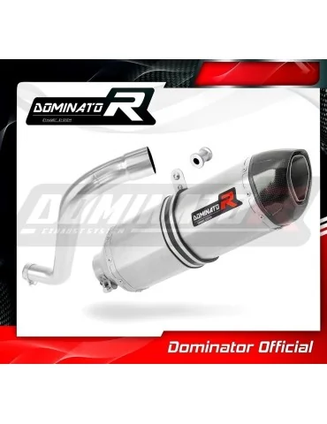 Silencieux slip-on Dominator HP1 pour BMW F650ST