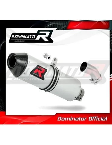 Silencieux slip-on Dominator MX2 pour Yamaha YZF 450 YZ 450 F (2010-2013)