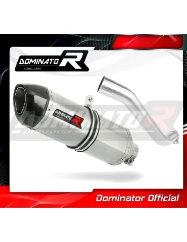 Silencieux slip-on Dominator HP1 pour Aprilia RSV 4 RR (2015-2016)