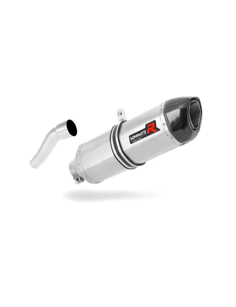 Silencieux slip-on Dominator HP1 pour Aprilia RS 125 (1999-2005)