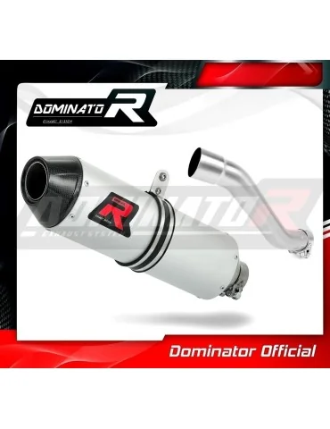 Silencieux slip-on Dominator MX2 pour Yamaha XT 600 (1990-2004)