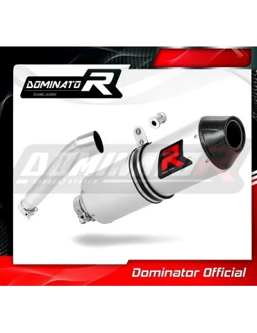Silencieux slip-on Dominator MX2 pour Access Motor Tomahawk 300