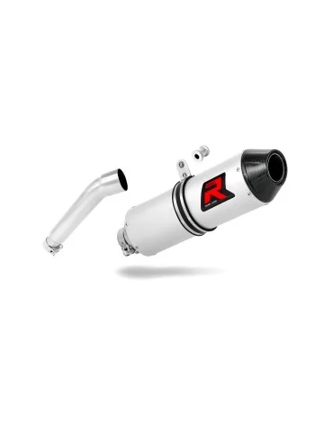 Silencieux slip-on Dominator MX2 pour Access Motor Tomahawk 250