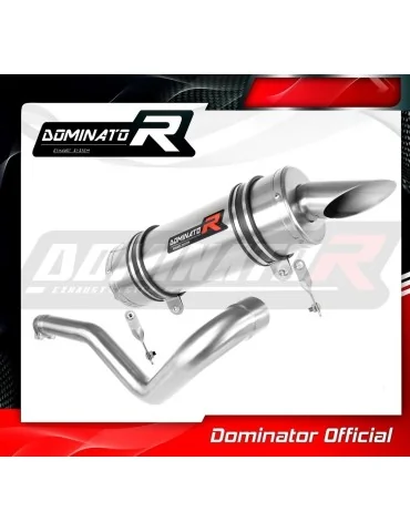 Silencieux slip-on Dominator ST pour Can-Am BRP Renegade 1000 (2012-2018)