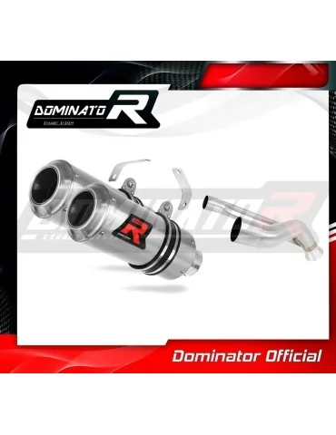Silencieux slip-on Dominator GP pour KTM 990 Super Duke (2005-2013)