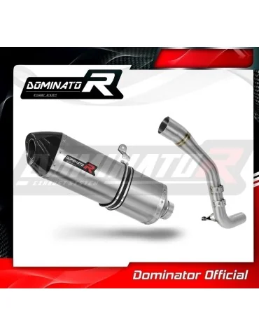 Silencieux slip-on Dominator HP7 pour Triumph Tiger 1050 (2006-2012)